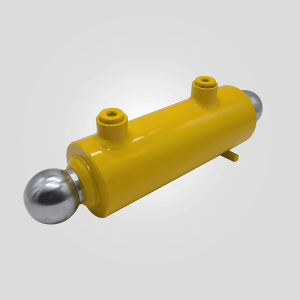 Plunger Cylinder 160-60